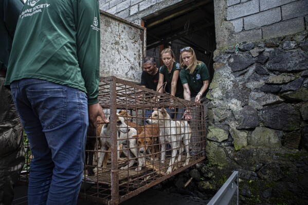 Animal cruelty society online
